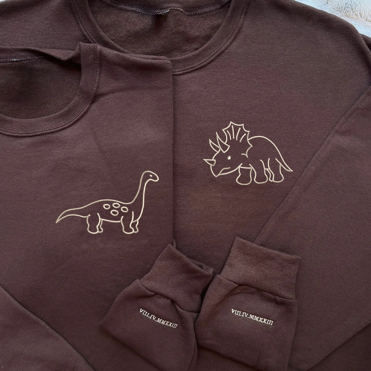 Custom Embroidered Cute Dinosaur Matching Hoodies for Couples